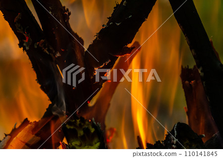 Flame of charcoal fire. Hearth for cooking and heating. Danger in forest 110141845