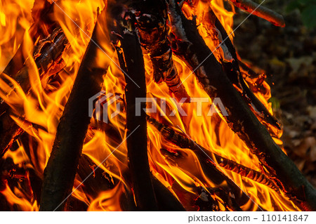 Flame of charcoal fire. Hearth for cooking and heating. Danger in forest Flame of charcoal fire. Hearth for cooking and heating. Danger in forest 110141847