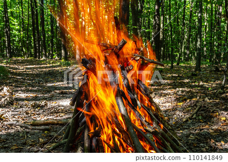 Flame of charcoal fire. Hearth for cooking and heating. Danger in forest Flame of charcoal fire. Hearth for cooking and heating. Danger in forest 110141849