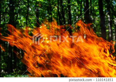 Flame of charcoal fire. Hearth for cooking and heating. Danger in forest 110141851