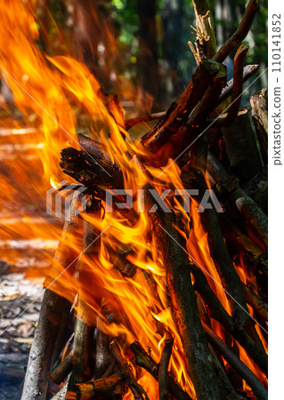 Flame of charcoal fire. Hearth for cooking and heating. Danger in forest 110141852