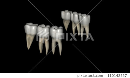 The mandibular molars perform the major portion of the work The mandibular molars perform the major portion of the work 110142337
