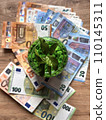 Money tree sprout and paper money euro . The growth of the euro in price. 110145311