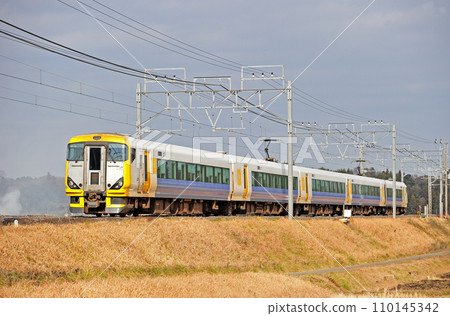 總武幹線櫻花物井JR東日本E257系列500系列NB-05編組（幕張）潮騷Sazanami 110145342