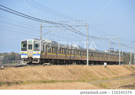 總武本線櫻花物井JR東日本211系501編組(幕張) 總武本線櫻花物井JR東日本211系501編組(幕張) 110145374