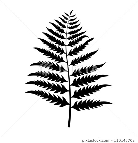 Fern black vector icon on white background 110145702