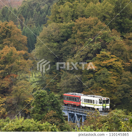 Aizu Railway of autumn leaves Aizu Railway of autumn leaves 110145865