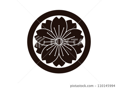 Yaewa cherry blossoms in a circle 110145994