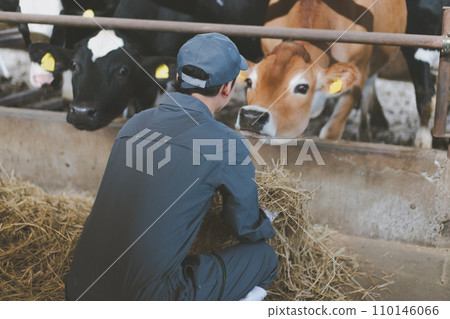 牛棚 男人 男 110146066