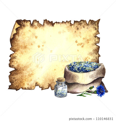 Old parchment for inscriptions with medicinal cornflower, useful herbs, dried, crushed. A hand-drawn watercolor illustration For pharmacy preparations and spa care. Old parchment for inscriptions with medicinal cornflower, useful herbs, dried, crushed. A hand-drawn watercolor illustration For pharmacy preparations and spa care. 110146831