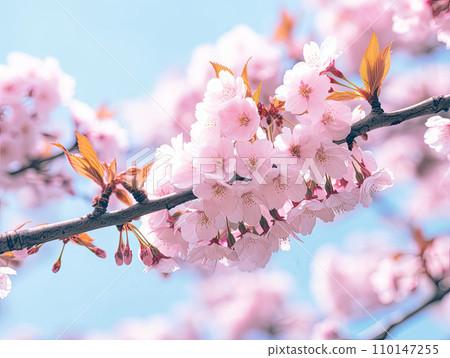 AI-generated content. Branches of blossoming cherry macro with soft focus AI-generated content. Branches of blossoming cherry macro with soft focus 110147255