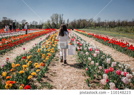 rear view of girl in white top walking in tulip field with bucket full of collected flowers 110148223