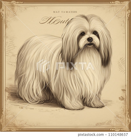 Maltese dog, old vintage retro postcard style, close-up portrait, cute pet, creative animal illustration 110148637