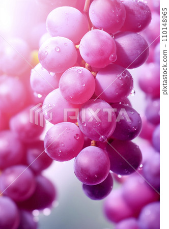 AI-generated content. Red grape bunch close up, wine package background, design element with copy space, AI generated 110148965