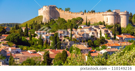 Aerial view to Avignon, France 110149216