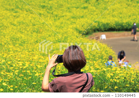 一個女人在花田裡拍照 110149445