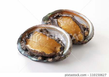 Abalone from Hokkaido placed on a white background 110150627