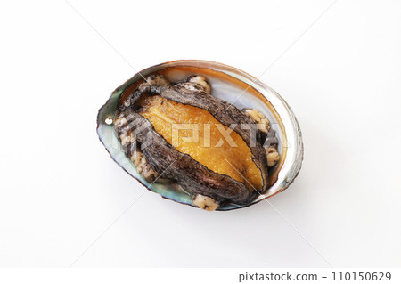 Abalone from Hokkaido placed on a white background Abalone from Hokkaido placed on a white background 110150629