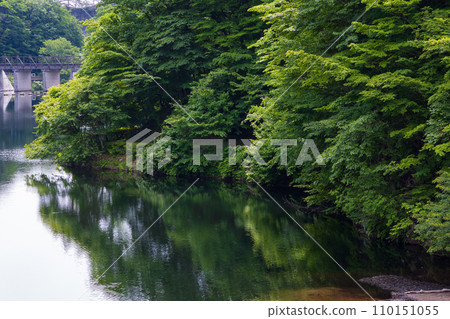 Spring in Annaka City, Gunma Prefecture, Abt Road with fresh greenery, Lake Usui 110151055