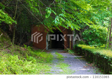 Spring in Annaka City, Gunma Prefecture, Abt Road with fresh greenery, Lake Usui 110151065