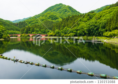 Spring in Annaka City, Gunma Prefecture, Abt Road with fresh greenery, Lake Usui 110151088