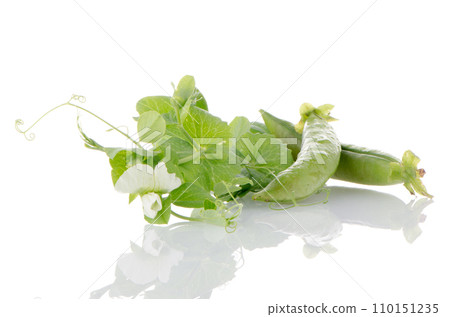 Fresh green pea pod Fresh green pea pod 110151235