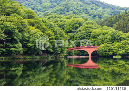 Spring in Annaka City, Gunma Prefecture, Abt Road with fresh greenery, Lake Usui 110151286
