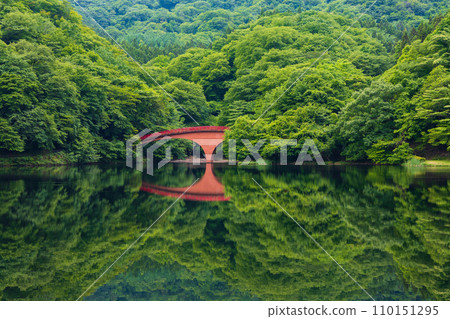 Spring in Annaka City, Gunma Prefecture, Abt Road with fresh greenery, Lake Usui 110151295