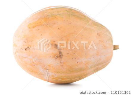 Calabash pumpkin Calabash pumpkin 110151361