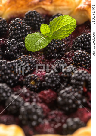 Homemade pie 110151401