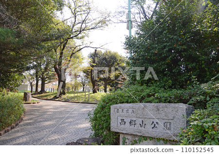 俯瞰富士山的西鄉山公園 俯瞰富士山的西鄉山公園 110152545