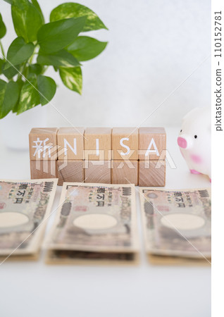 新NISA多元化投資 110152781