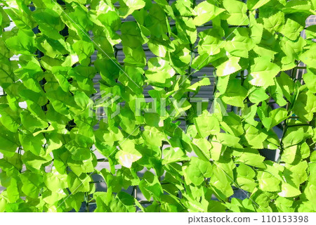 Green curtains made of artificial flowers that fill the screen 110153398