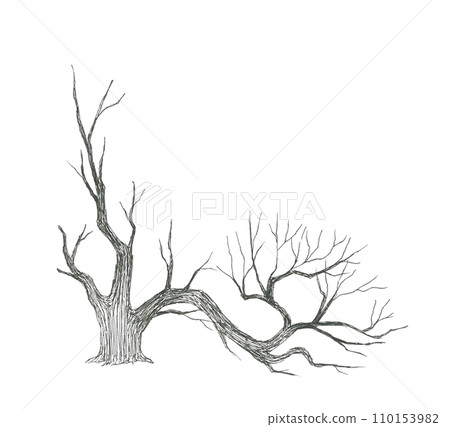 乾旱地區枯死的樹 110153982