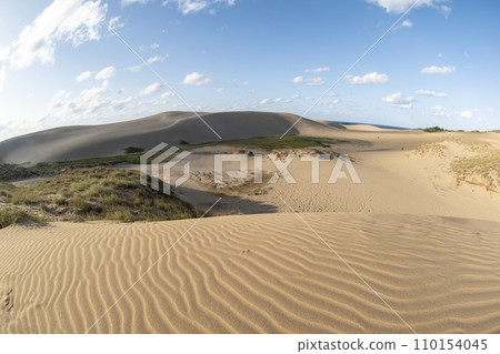 鳥取沙丘美好的風景 110154045
