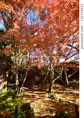京都洛北蓮華寺 京都洛北蓮華寺 110154915
