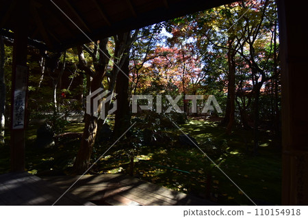 京都洛北蓮華寺 110154918