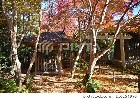 京都洛北蓮華寺 110154956