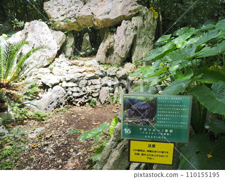 魚和資訊板/山原國立公園/大石林山(沖繩縣國頭郡國頭村) 魚和資訊板/山原國立公園/大石林山(沖繩縣國頭郡國頭村) 110155195