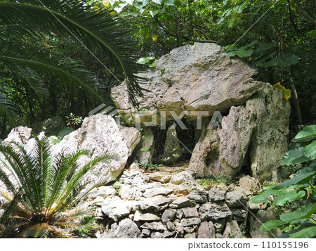 Agarime/山原國立公園/大石林山(沖繩縣國頭郡國頭村) Agarime/山原國立公園/大石林山(沖繩縣國頭郡國頭村) 110155196