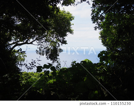 從榕樹簾(榕樹廣場)/山原國立公園/大石林山(沖繩縣國頭郡國頭村)眺望 從榕樹簾(榕樹廣場)/山原國立公園/大石林山(沖繩縣國頭郡國頭村)眺望 110155230