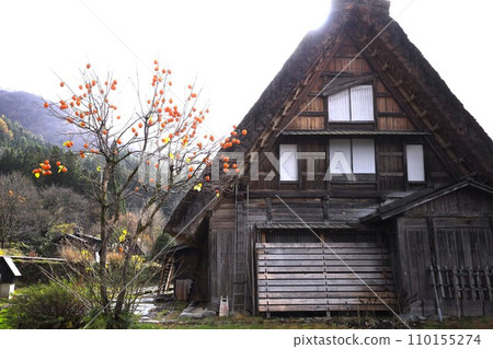 Shirakawa-go, a World Heritage Site, is a gassho-zukuri village that takes advantage of nature and utilizes tradition and wisdom. 110155274