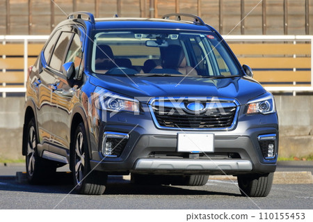 Domestic SUV vehicle 110155453