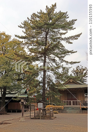 井草八幡宮（杉並） 110155593