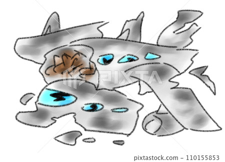 tragic aircraft accident 110155853