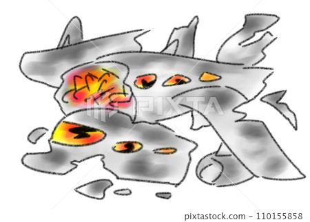 tragic aircraft accident 110155858