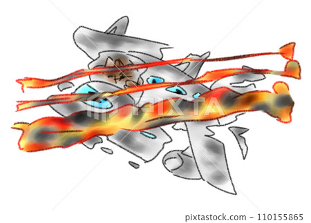 tragic aircraft accident 110155865