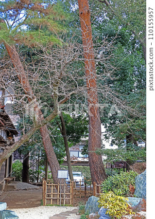 只園寺（調布） 110155957