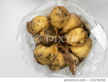 Wollongong fruit on white background with copy space for text. Langsat fruit 110156260