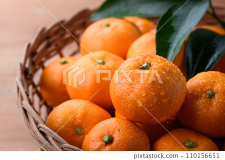 Taste of winter: Very sweet and delicious small mandarin oranges, Unshu mandarin oranges Taste of winter: Very sweet and delicious small mandarin oranges, Unshu mandarin oranges 110156651